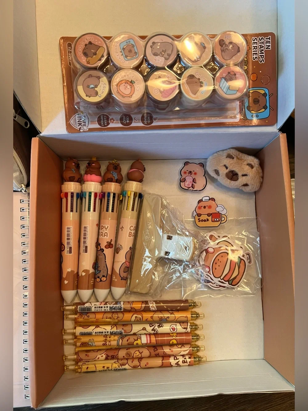 Capybara Kids Stationary  Box -   Notepads, pens, Stamps, stickers etc